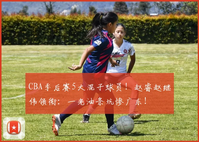 CBA季后赛5大混子球员！赵睿赵继伟领衔：一老油条坑惨广东！