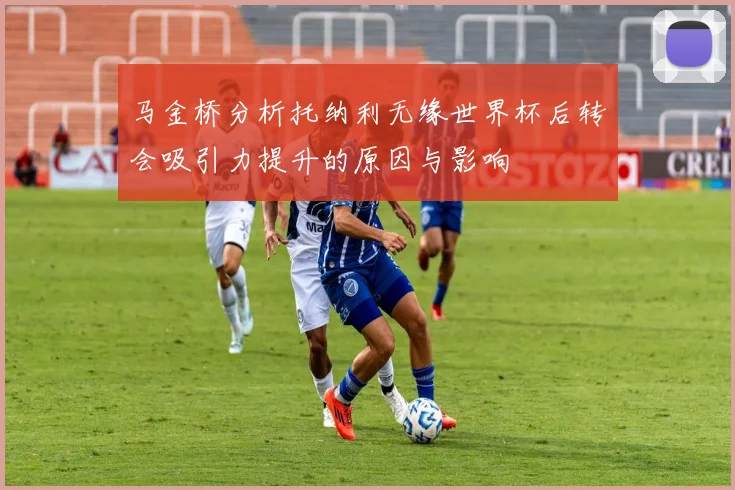 马金桥分析托纳利无缘世界杯后转会吸引力提升的原因与影响